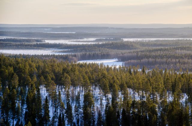 be0a8846-c15e-4b18-9a67-fb54f3581040