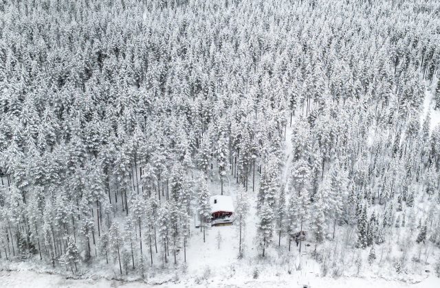 c4e5daba-1f44-4f79-8f45-5490672f7171