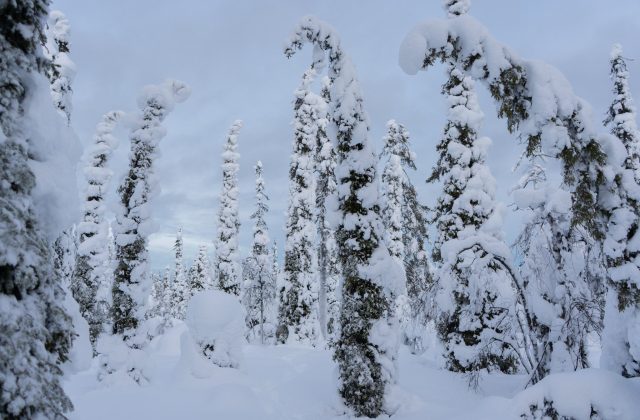 cb9bf2ce-c570-471b-9adc-137ccd34f04a