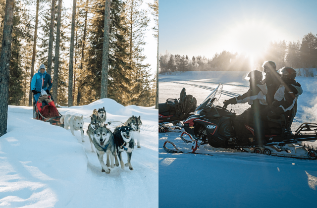 husky safari, Pure Lapland, Rovaniemi, Finland, tour, Snowmobile