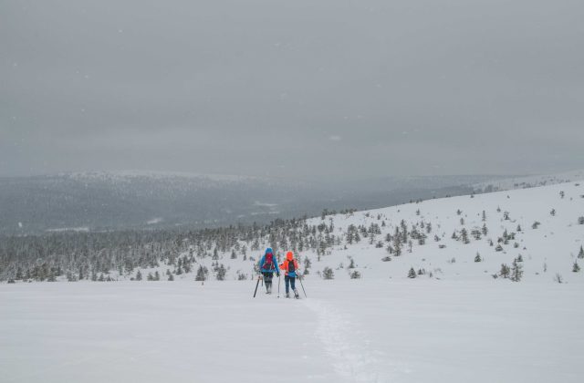 ce79804b-1b75-4dec-80c9-a4e51006d7c4