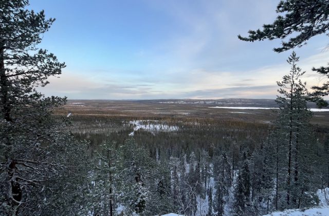 d0752ed0-f08b-4340-8a4f-235bbde3eaeb-1