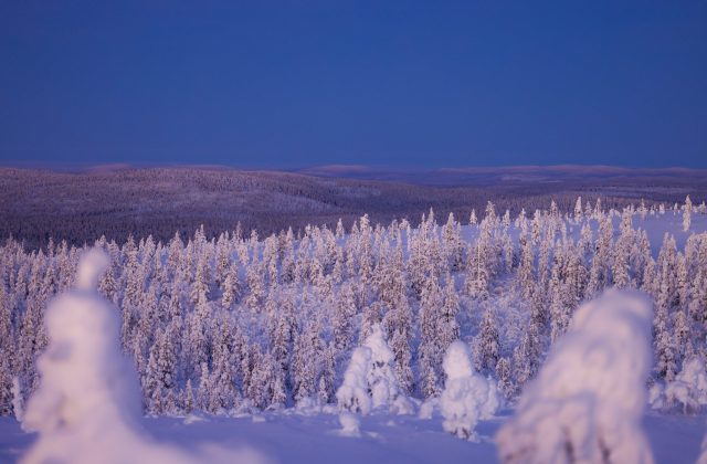 d135192e-59b0-4dd2-81a2-d1857956b8a3