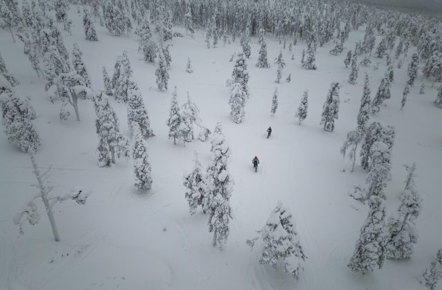 d7603129-9fb3-4b45-87e0-39329130c4e5-2