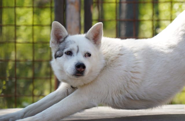 dbc34661-3704-46b7-b3a6-e94f0fb4db56