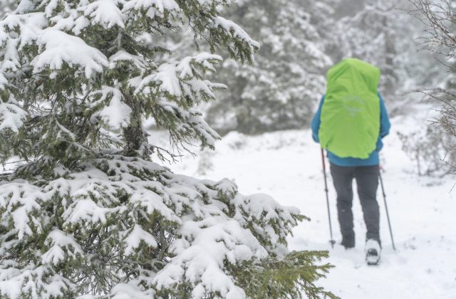 dd94ff98-74ce-4ae4-80df-300f563b2f85