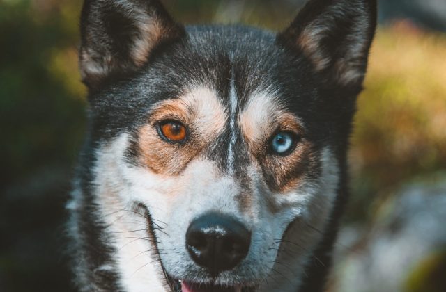 de5f553e-e1bc-4dc2-8041-bb161093ed44