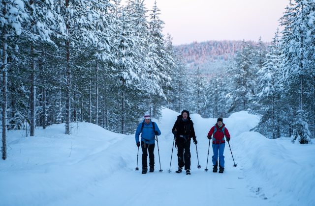 e4425db2-7a3e-4879-9dae-764cb4ce7196