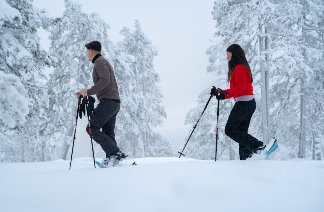 e8a17a6a-9d84-4cb7-843e-613b0d35a371-1