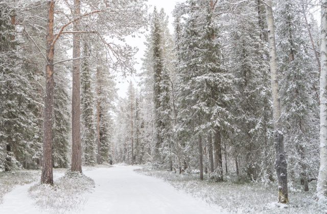 eea5ada0-c2db-469b-9c95-22d42cc45a8d