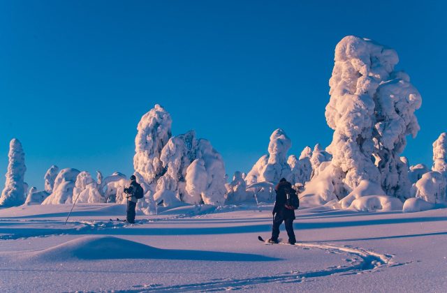 ef3ae565-bf08-4c35-b0b1-3abaa633e336