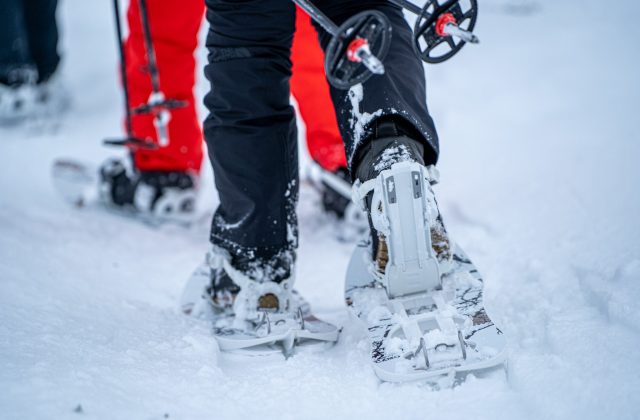 f1d3a3e4-d839-4201-a9f7-20da44bfe21d