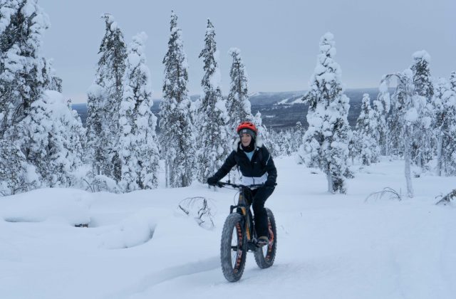 f4301cfa-8a25-4268-bd89-d155ead22f5e-2