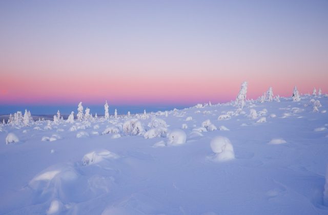 f9f92e57-31d7-4ef3-993a-cff5a8a92a97-2